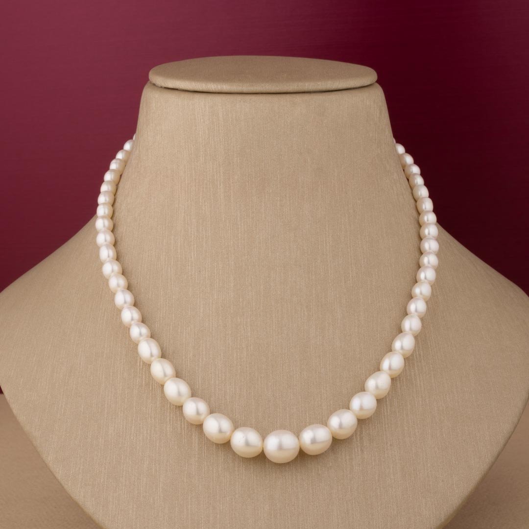 SKPPL103B.jpg SKPPL103B.jpg