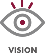 Vision-